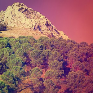 Bhyzshul
