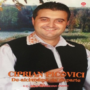 Ciprian Picovici