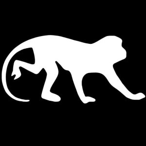 Monkey Mind