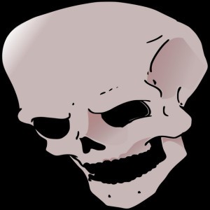 Bear With No Hair