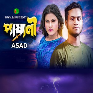Asad