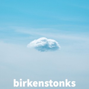 Birkenstonks