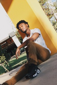 BLU-JAY