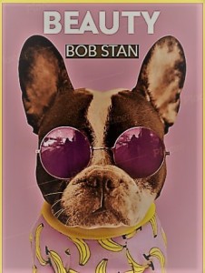 Bob Stan