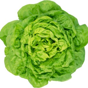 Bogu Grass