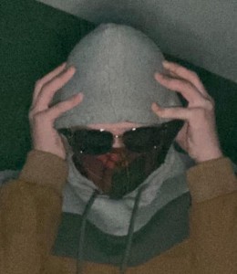 Brdemi_._