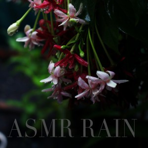 Asmr