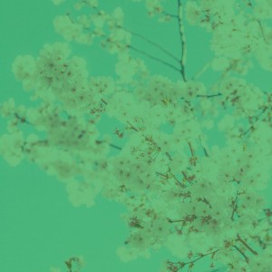 Âm nhạc thư giãn Vũ Trụ