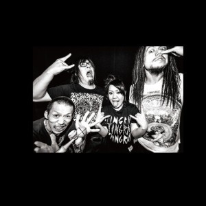 Maximum the Hormone
