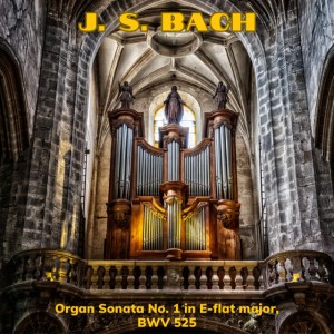 Baroque Cathedral