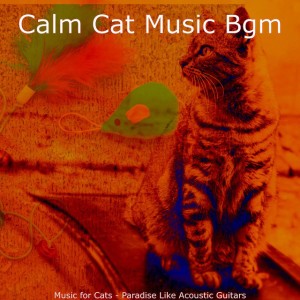 Calm Cat Music Bgm