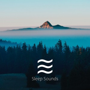 Babies Snooze Sleep Sounds