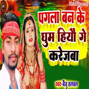 Beju Halchal