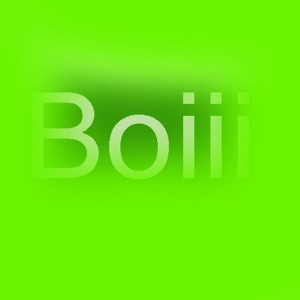 Boiiginner