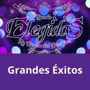 Banda Los Elegidos