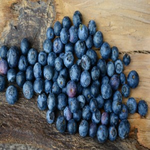 BlueberryYear