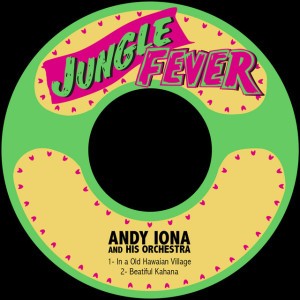 Andy Iona and his Orchestra