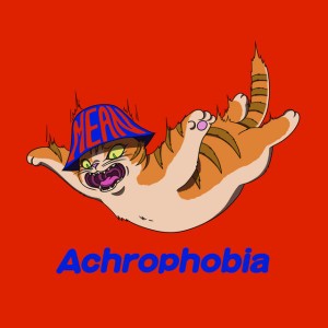 ChubbyCat