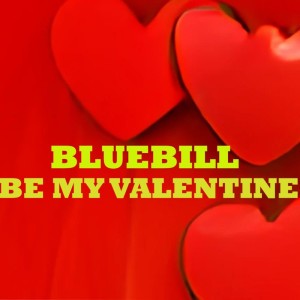 Bluebill