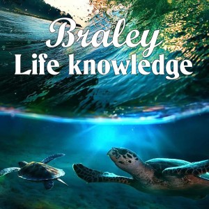 Braley