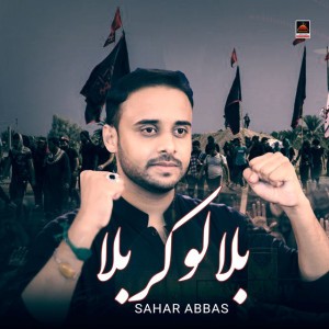 Adnan Haider