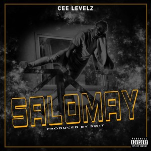Cee Levelz