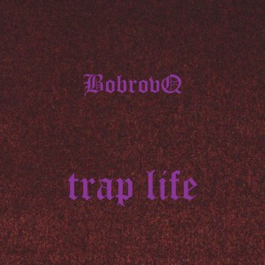 BobrovQ