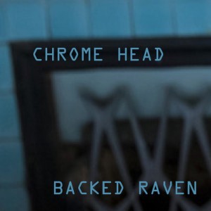 BACKED RAVEN