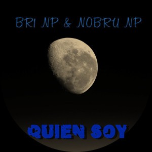 Br1 NP