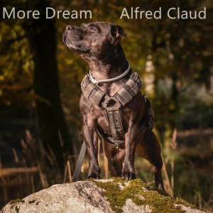 Alfred Claud