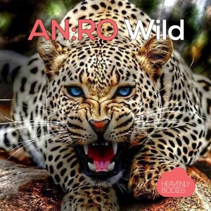 Anro