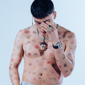 El Malilla