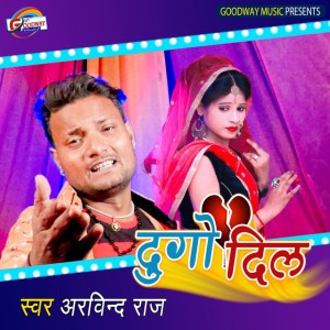 Arvind Raj