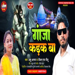 Anshu Arman