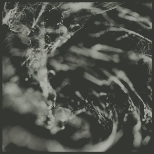 Carbonflow