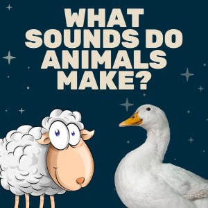Baby Animal Sounds