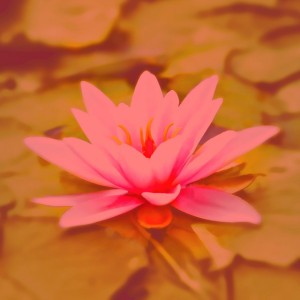 Brilliant Inspirational Meditation Music