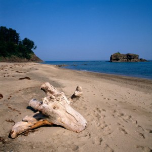 Coalem