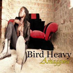 Bird Heavy