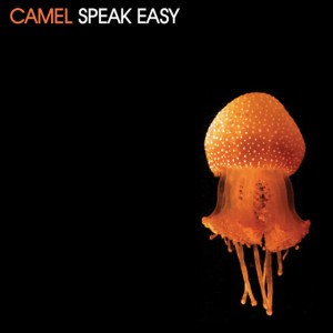 Camel