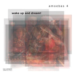 amoebas 4
