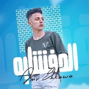 Amr shawa