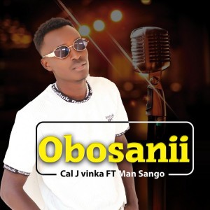 Cal J Vinka