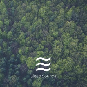 Babies Calming Forest with Noises
