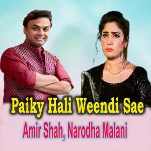 Amir Shah