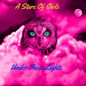 A Stare of Owls