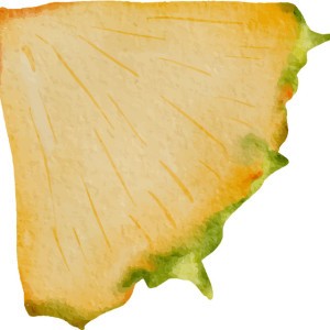 Brearni