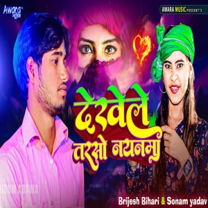 Brejesh Bihari
