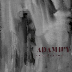 Adam Ivy