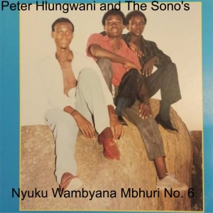 Peter Hlungwani and The Sono's